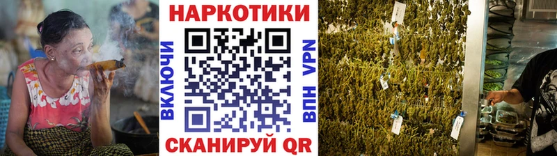 Где купить наркоту Мыски Бошки Шишки  A-PVP  NBOMe  Гашиш 