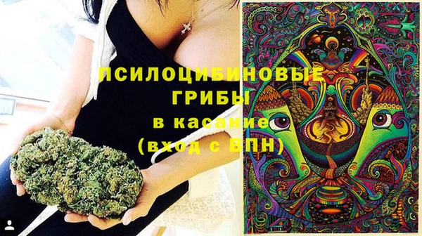 ПСИЛОЦИБИНОВЫЕ ГРИБЫ Алексеевка