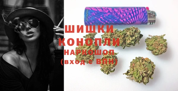 ПСИЛОЦИБИНОВЫЕ ГРИБЫ Алексеевка