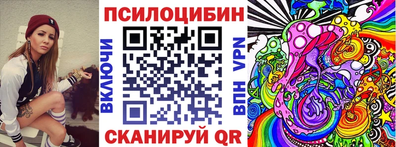 Псилоцибиновые грибы Psilocybe как найти Мыски