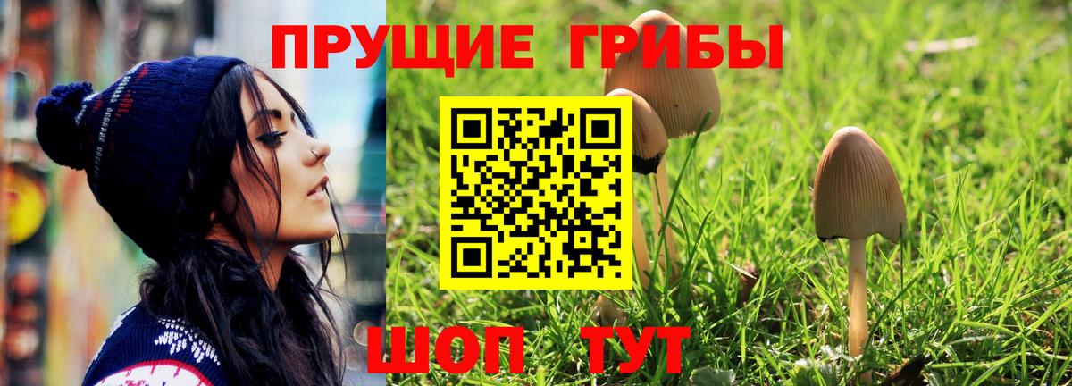 Мыски  Псилоцибиновые грибы ЛСД  Галлюциногенные грибы мицелий  Вход с VPN 